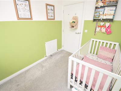 Picture 11